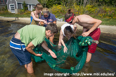 Marine Biological Labatory